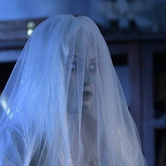 Amazon.com: Haunted Hill Farm Lifesize Scary Haunted Woman  Halloween prop The Lady in Grey